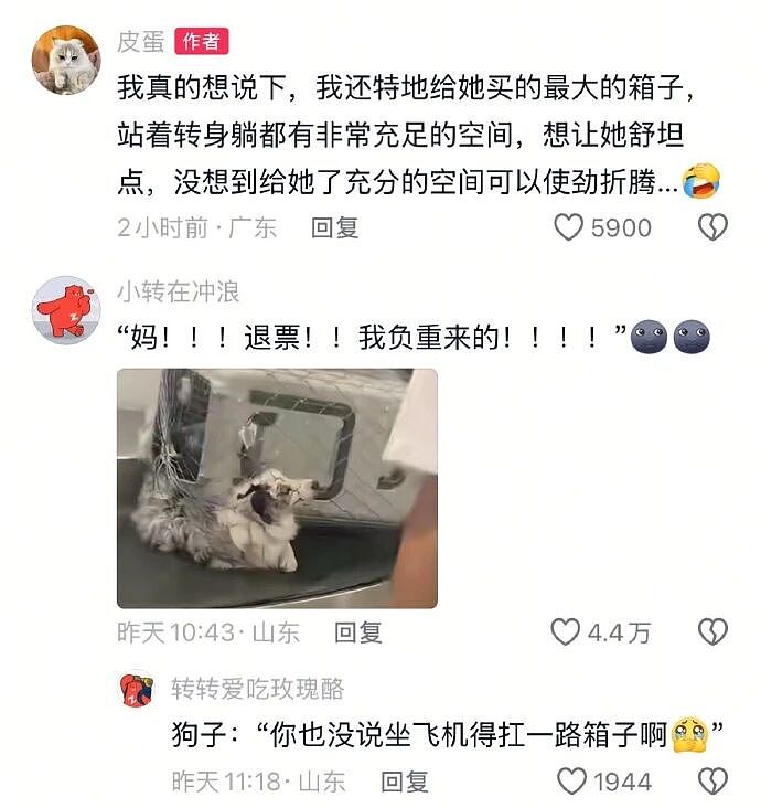 【爆笑】王诗龄这张照片刷屏！全网关注点都是 11 万元的凉鞋？看到最后：我也想当她了...（组图） - 7