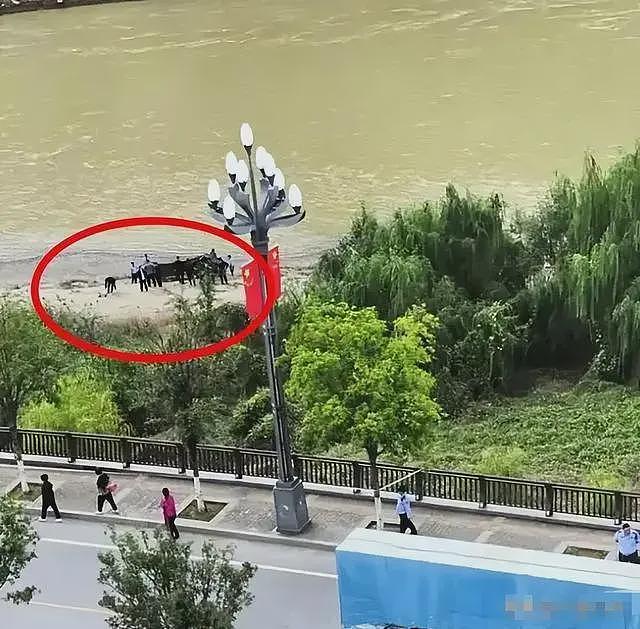 婚车司机吐露跳河新郎当天情况:女方扇了男子几巴掌,男孩跪下认错也不行(组图) - 8