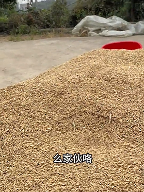 【爆笑】王诗龄这张照片刷屏！全网关注点都是 11 万元的凉鞋？看到最后：我也想当她了...（组图） - 14
