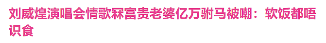 挣钱太少7年不准碰老婆,结婚8年窝囊至极在家不敢出声,今一夜爆红找回尊严被准入房睡?(组图) - 21