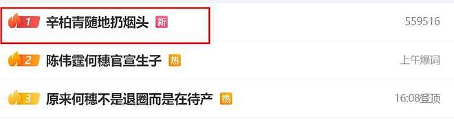 狗仔曝辛柏青与友人聚会开心大笑，乱扔烟头，网友：狗仔用心不良（组图） - 11