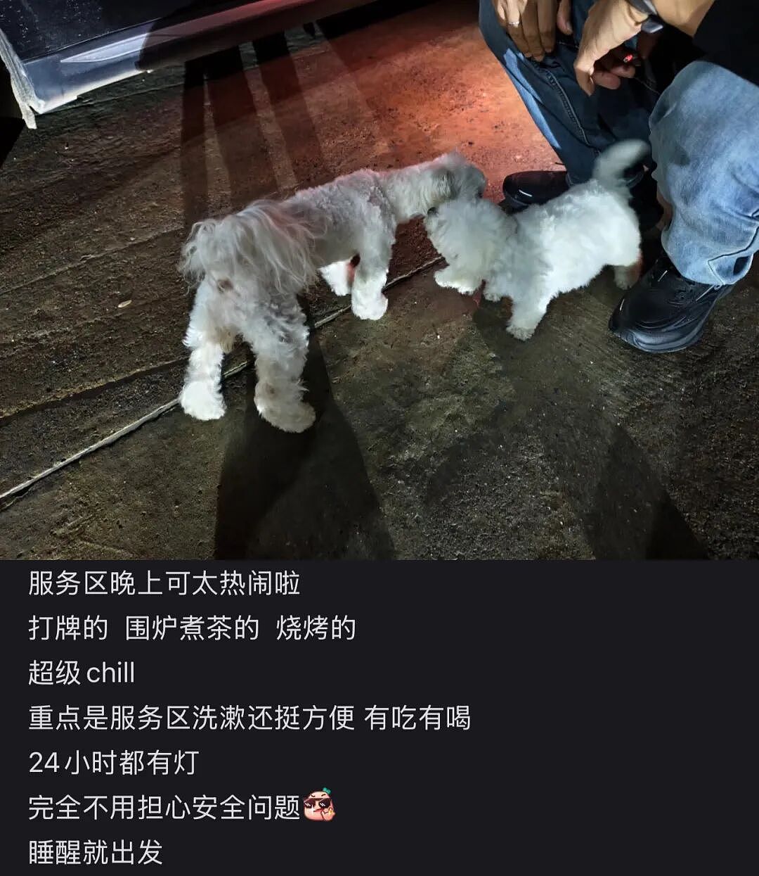 新能源“大床车”，吊打亚朵如家？（组图） - 8