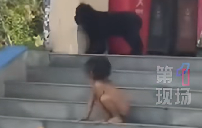 全身赤裸“野人小孩”引关注！探访“野人小孩”老家，村民称孩子很可怜（组图） - 4