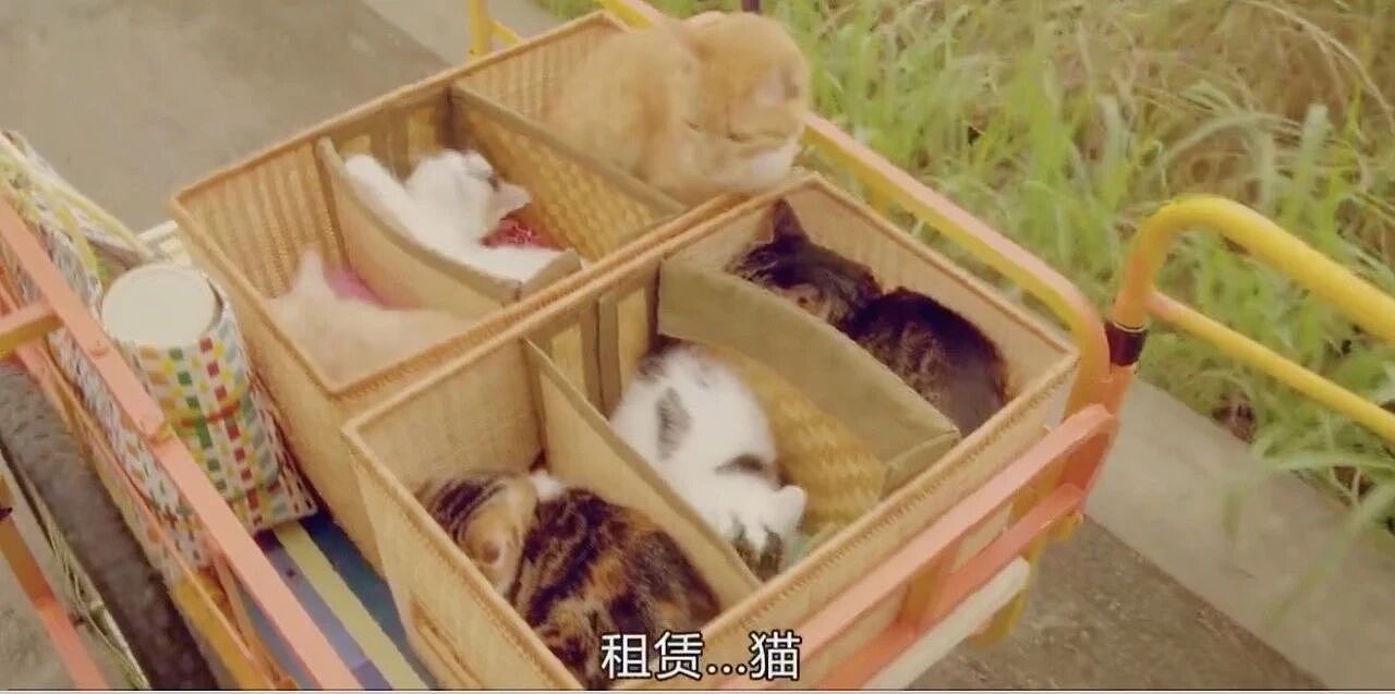 这一届年轻人,只租不买了(组图) - 1