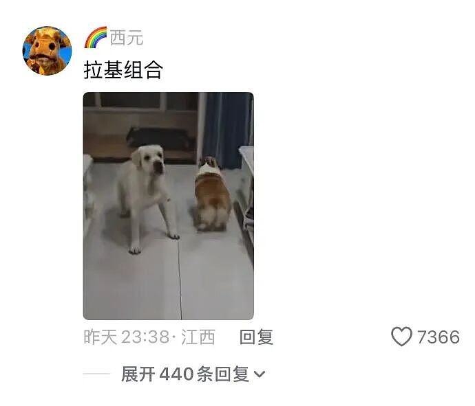 【爆笑】王诗龄这张照片刷屏！全网关注点都是 11 万元的凉鞋？看到最后：我也想当她了...（组图） - 25