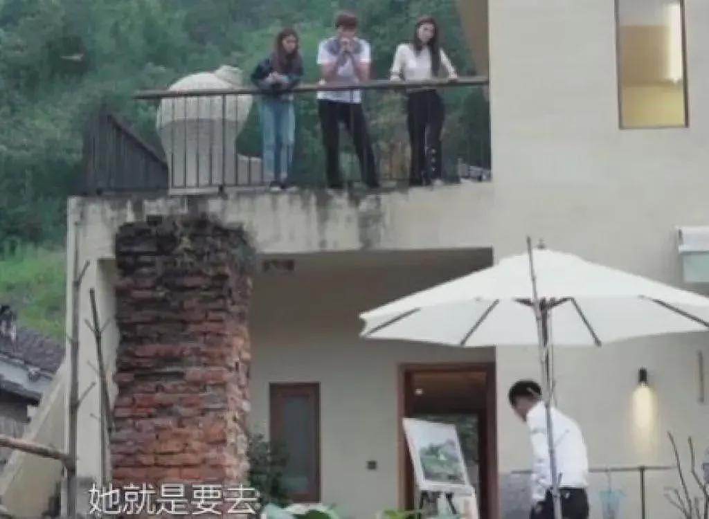 “丑小鸭”何穗的上位史：闪离伪富豪，上节目没情商，与奚梦瑶抢代言（组图） - 16