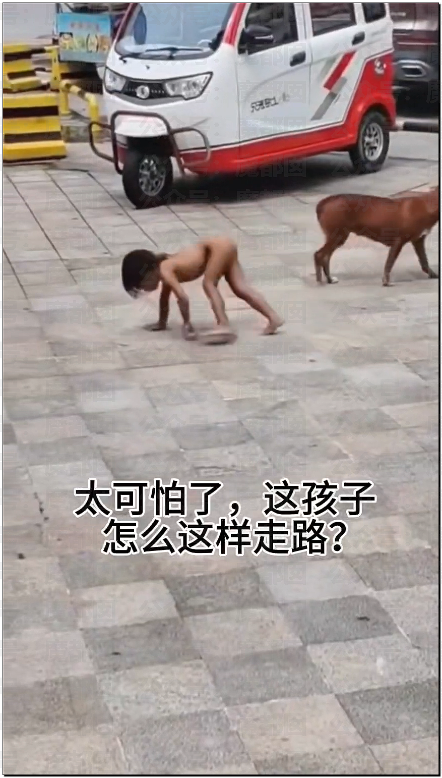 全网震怒！强制不给穿衣、狗一样爬行乞食！野人小孩事件爆议（组图） - 4