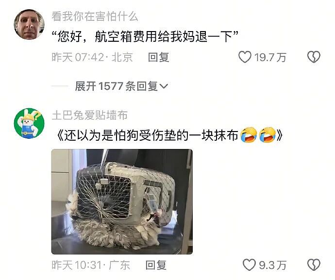 【爆笑】王诗龄这张照片刷屏！全网关注点都是 11 万元的凉鞋？看到最后：我也想当她了...（组图） - 8