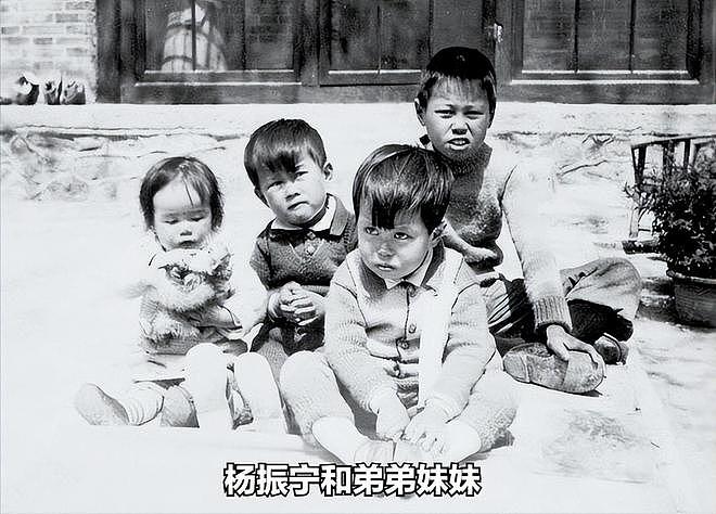 杨振宁的家人：父亲是数学家，弟媳是富豪，弟弟和仨儿女都是学霸（组图） - 5