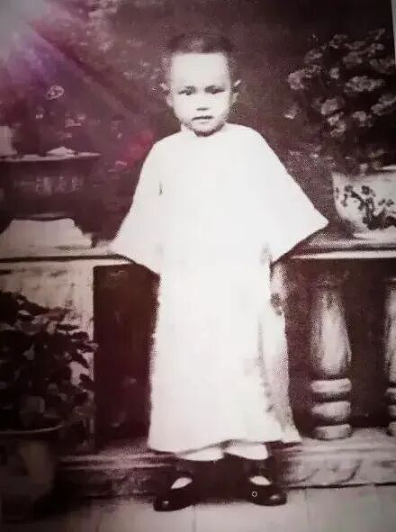痛别!杨振宁先生因病逝世,享年103岁…一文看懂杨老的伟大一生(组图) - 5