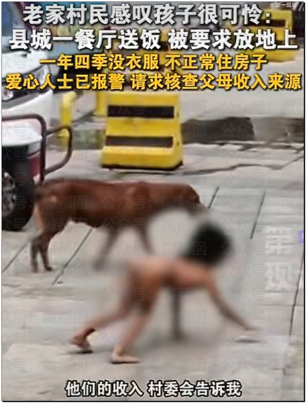 全网震怒！强制不给穿衣、狗一样爬行乞食！野人小孩事件爆议（组图） - 26