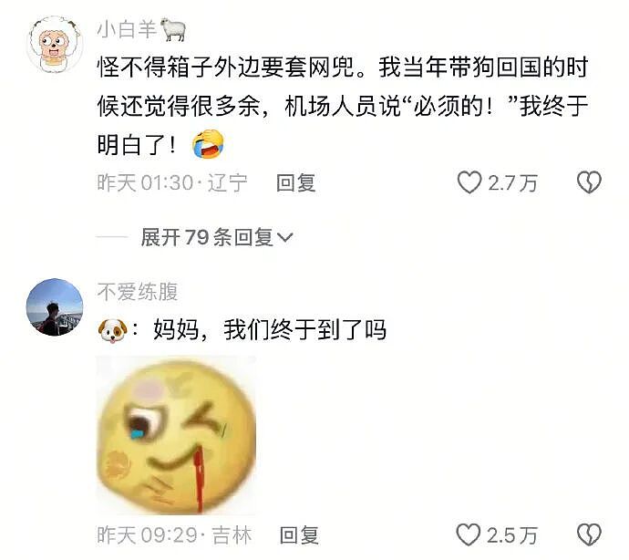 【爆笑】王诗龄这张照片刷屏！全网关注点都是 11 万元的凉鞋？看到最后：我也想当她了...（组图） - 9