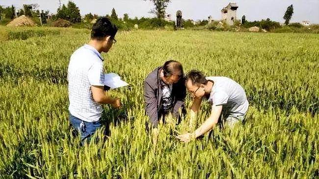 同样14亿人，为何中国满世界买粮，印度大量出口（组图） - 4