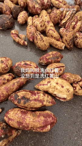 【爆笑】王诗龄这张照片刷屏！全网关注点都是 11 万元的凉鞋？看到最后：我也想当她了...（组图） - 19