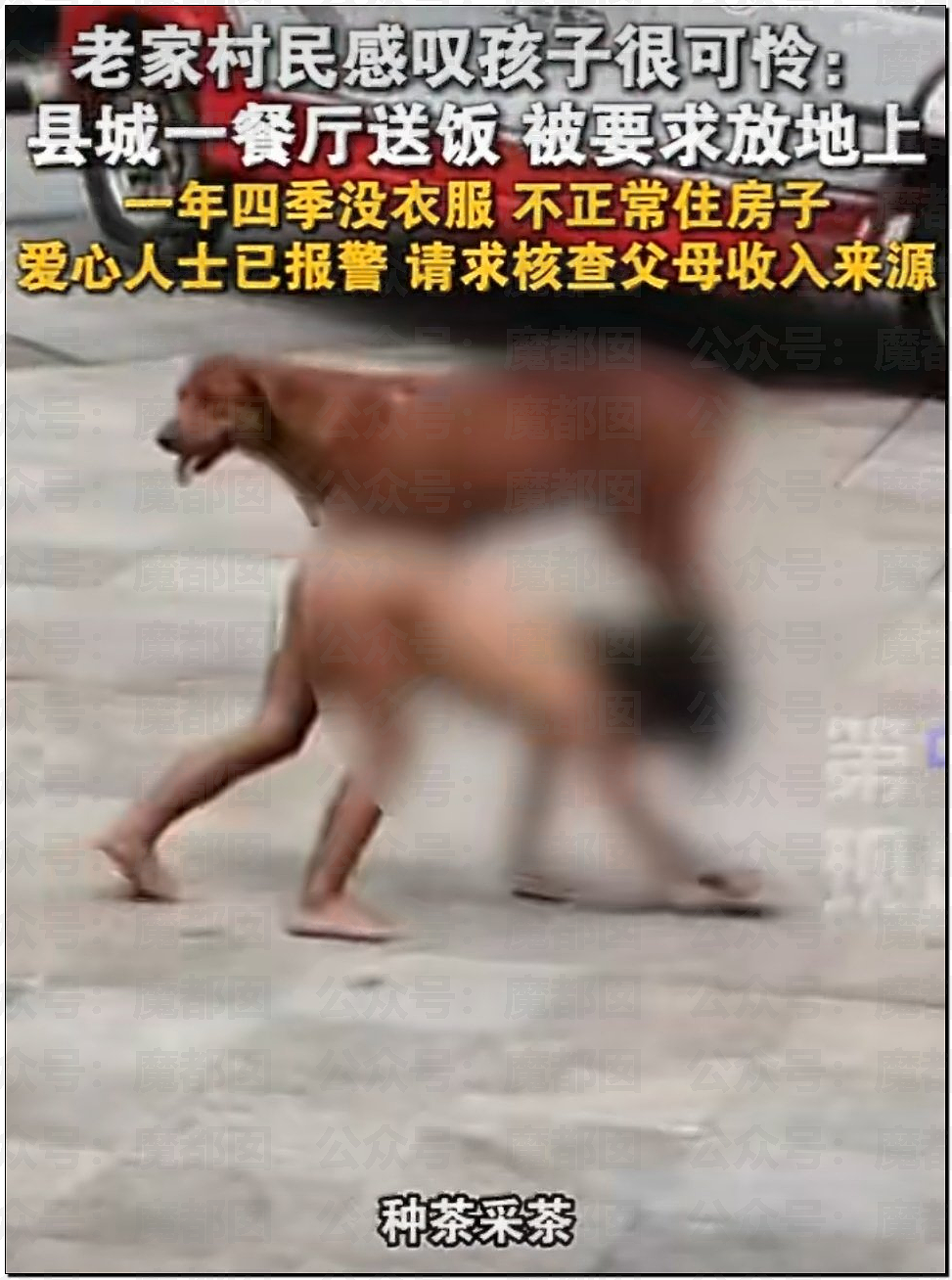全网震怒！强制不给穿衣、狗一样爬行乞食！野人小孩事件爆议（组图） - 25