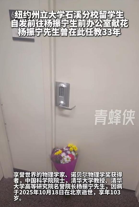 杨振宁的家人：父亲是数学家，弟媳是富豪，弟弟和仨儿女都是学霸（组图） - 3