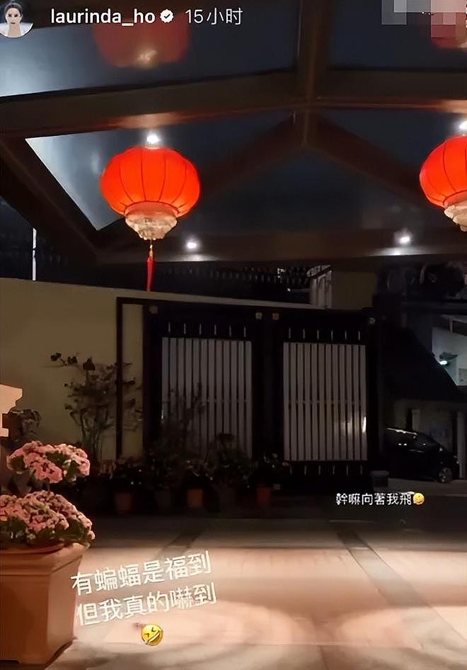 向太爆料何超莲窦骁闹离婚！男方结婚掏空家底，女方却不带他入圈（组图） - 10