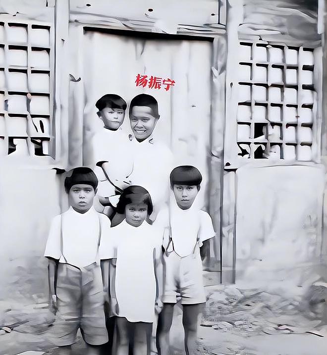 杨振宁的家人：父亲是数学家，弟媳是富豪，弟弟和仨儿女都是学霸（组图） - 14