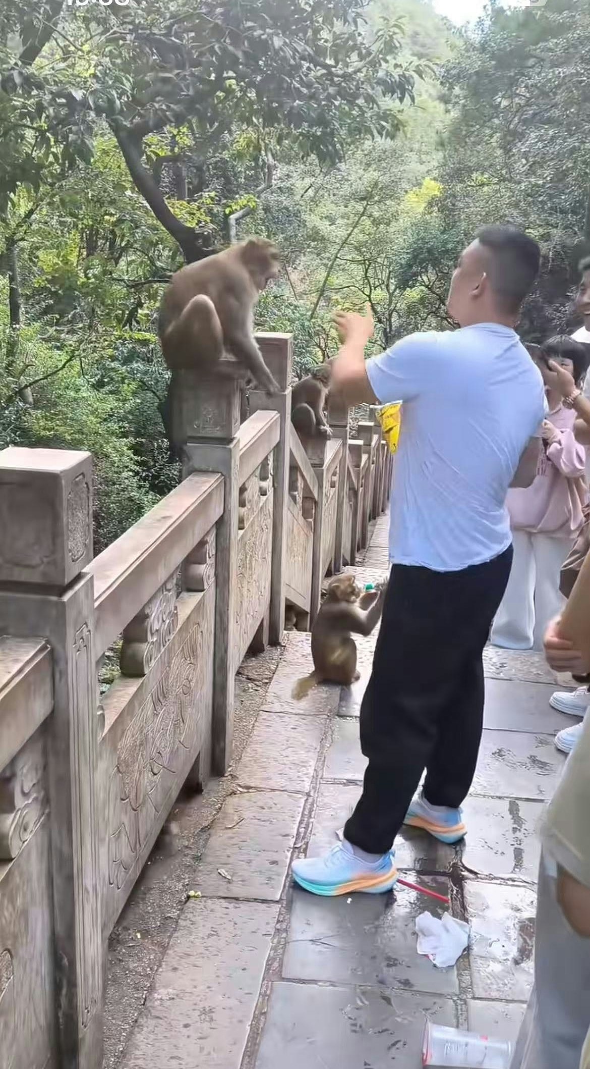 男子贵州黔灵山扇猴子脸后遭飞踢!园方:后果自负(视频/组图) - 3