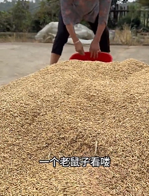 【爆笑】王诗龄这张照片刷屏！全网关注点都是 11 万元的凉鞋？看到最后：我也想当她了...（组图） - 13