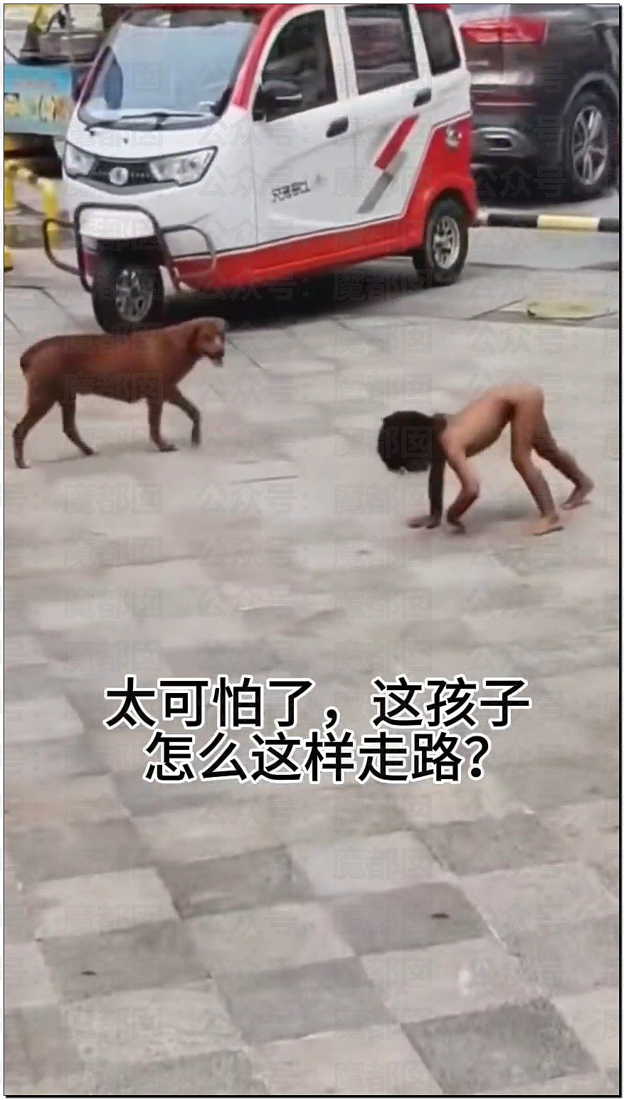 全网震怒！强制不给穿衣、狗一样爬行乞食！野人小孩事件爆议（组图） - 3