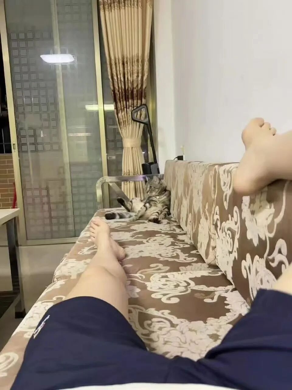 【爆笑】“大家找工作已经到了癫狂期了......” 哈哈哈哈哈哈哈感觉已经疯掉了（组图） - 62