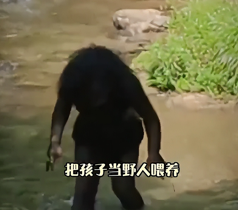 热搜上“野人男童”的父母全是高材生,邻居爆猛料这一家人好诡异...(视频/组图) - 18