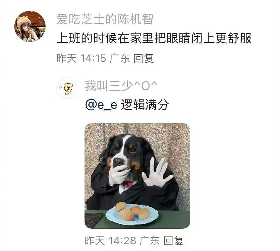 【爆笑】“大家找工作已经到了癫狂期了......” 哈哈哈哈哈哈哈感觉已经疯掉了（组图） - 58