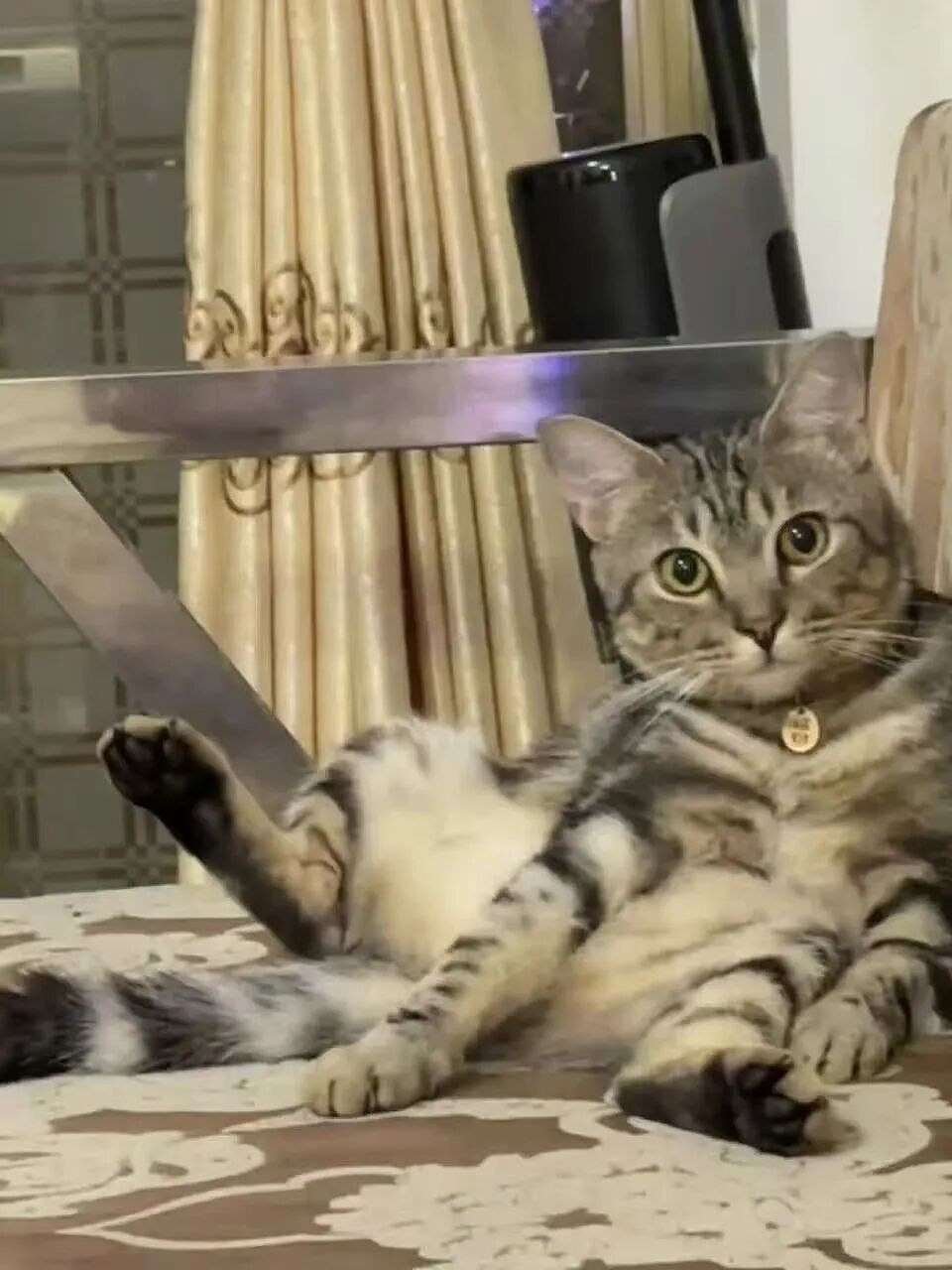 【爆笑】“大家找工作已经到了癫狂期了......” 哈哈哈哈哈哈哈感觉已经疯掉了（组图） - 63