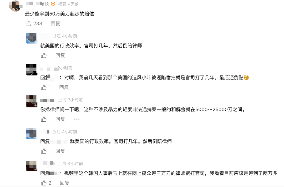 没天理！亚裔女孩抓小偷，反遭美国警察逮捕！网友愤怒：这不是歧视？（组图） - 15