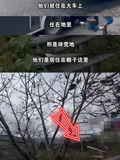 热搜上“野人男童”的父母全是高材生,邻居爆猛料这一家人好诡异...(视频/组图) - 4