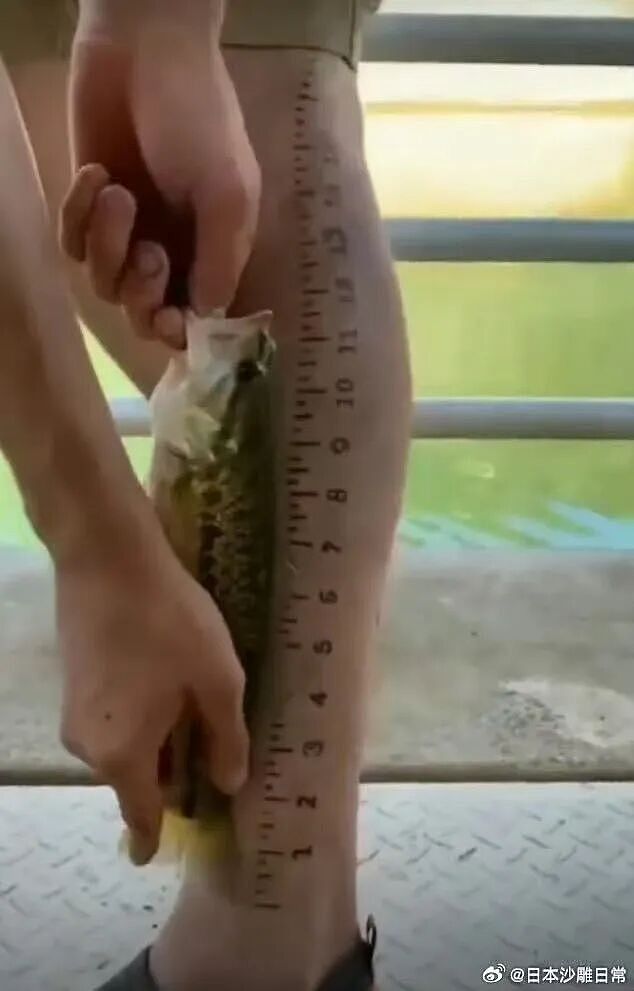 【爆笑】“大家找工作已经到了癫狂期了......” 哈哈哈哈哈哈哈感觉已经疯掉了（组图） - 34