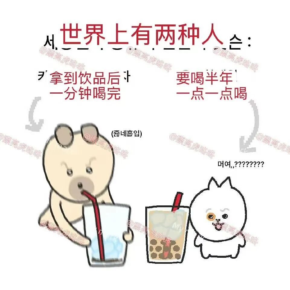 【爆笑】“大家找工作已经到了癫狂期了......” 哈哈哈哈哈哈哈感觉已经疯掉了（组图） - 12