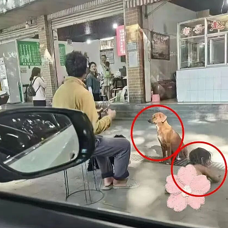 热搜上“野人男童”的父母全是高材生,邻居爆猛料这一家人好诡异...(视频/组图) - 7