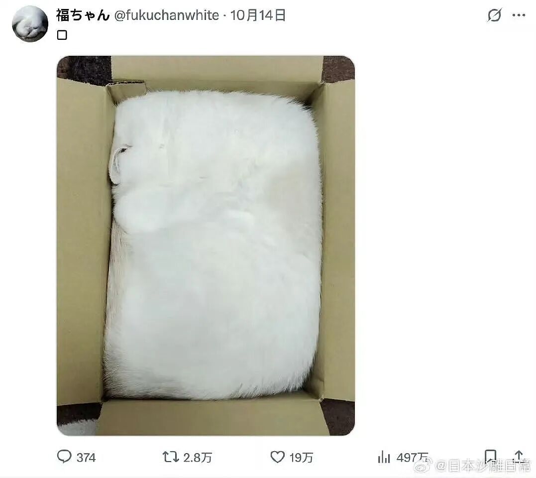 【爆笑】“让家长帮忙买乌萨奇的后果......“ 哈哈哈哈哈哈笑死了（组图） - 63