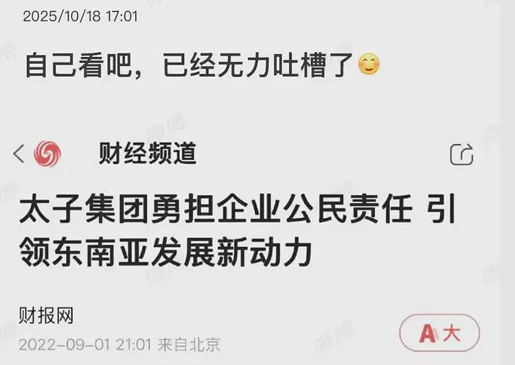 关于陈志和太子集团，网友们发现国内媒体曾经这样报道过（组图） - 7