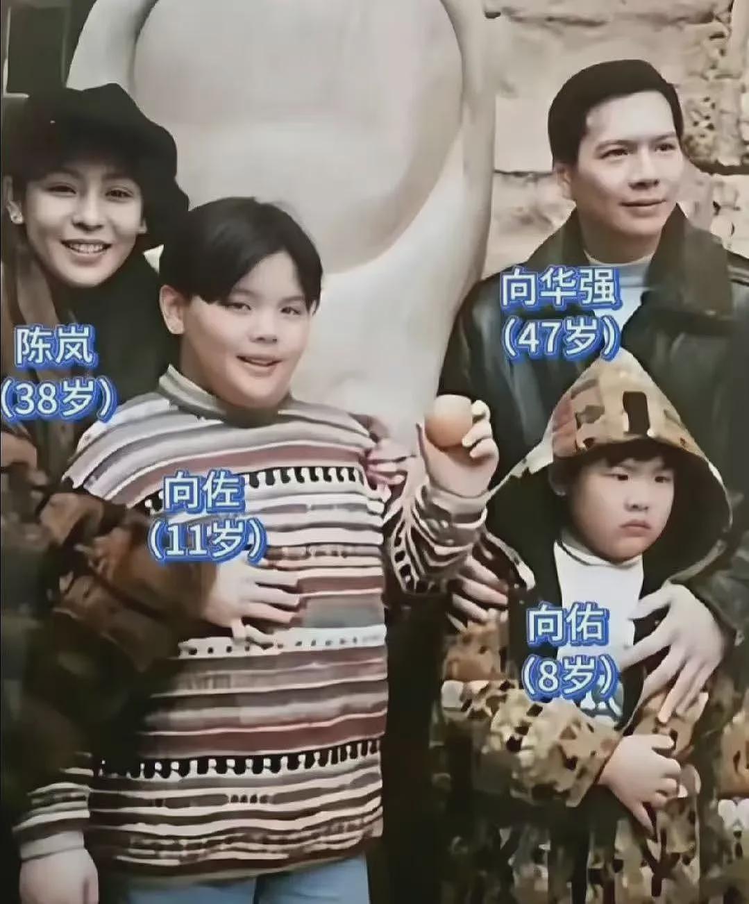 富养错了吗？向太悲喜两重天：老大向佐成了大明星，老二向佑蹲了牢房…（组图） - 4