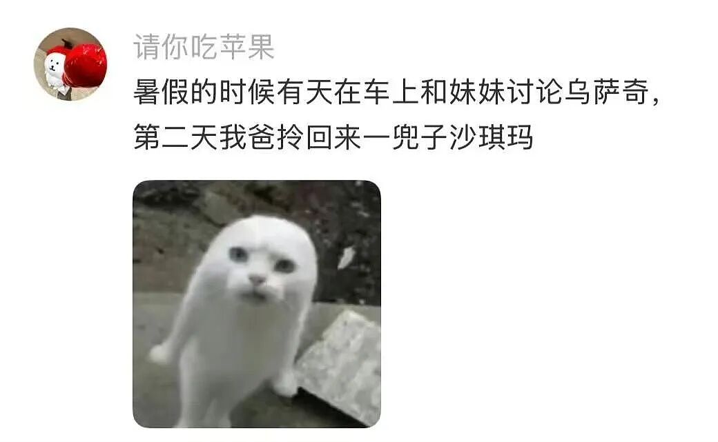 【爆笑】“让家长帮忙买乌萨奇的后果......“ 哈哈哈哈哈哈笑死了（组图） - 7