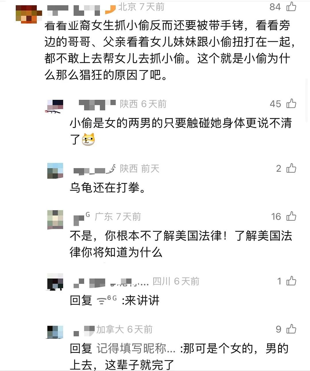 没天理！亚裔女孩抓小偷，反遭美国警察逮捕！网友愤怒：这不是歧视？（组图） - 7