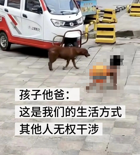 热搜上“野人男童”的父母全是高材生,邻居爆猛料这一家人好诡异...(视频/组图) - 16