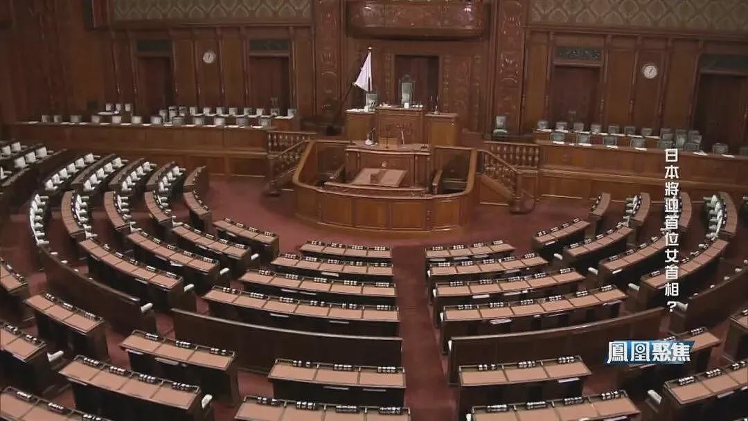 “女版安倍”高市早苗要当日本首位女首相?(组图) - 9