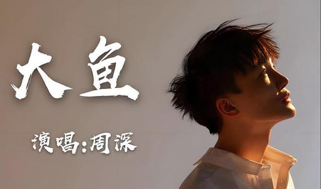 11年后再看周深和李维，一个查无此人，一个“打”了那英的脸（组图） - 5