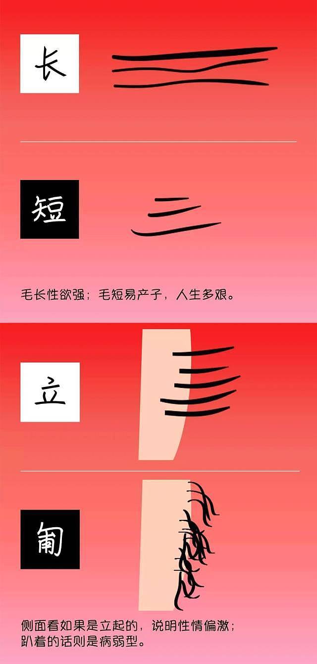 【两性】观察了 5000 女性的阴毛后…（组图） - 5