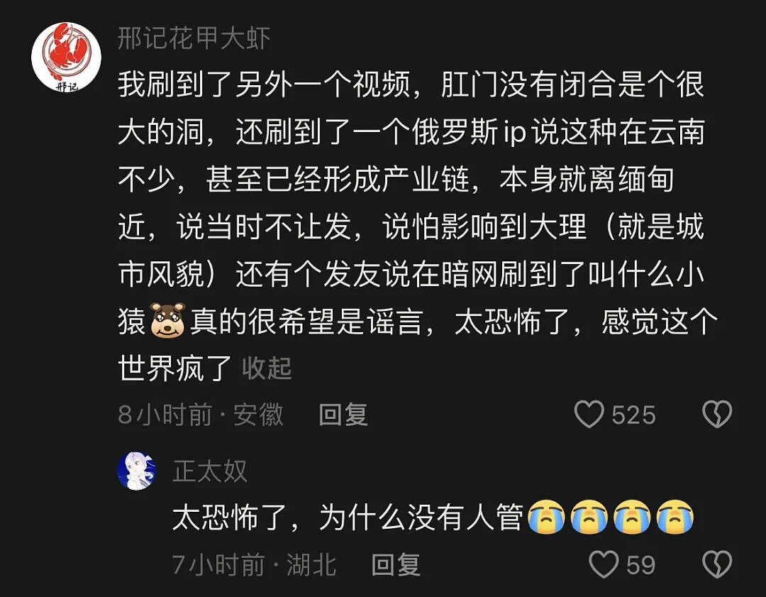 四川某服务区惊现“野人孩子”,光着身子满地爬,找东西啃食:父母称是 “自由养育”,背后真相可能不简单(组图) - 5