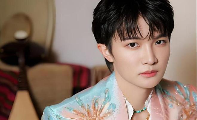 11年后再看周深和李维，一个查无此人，一个“打”了那英的脸（组图） - 9