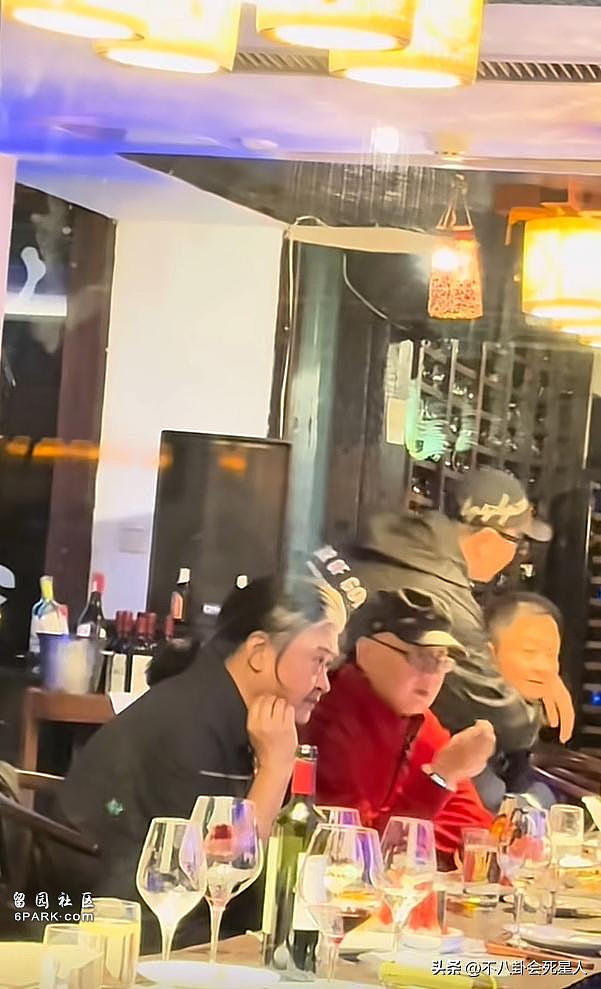 乌镇大佬聚餐:童谣素颜出众,黄磊孙莉夫妻敬酒(组图) - 13