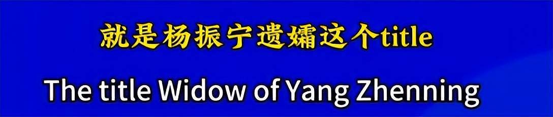 杨振宁给翁帆留下的遗产盘点：房产不是最值钱的（组图） - 8