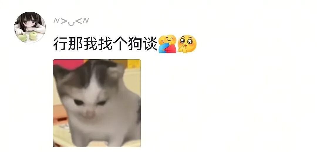 【宠物】一百斤的狗子被咪咪胖揍，委屈缩在爹怀里哭，爹小声蛐蛐，没想到狗子才是幕后高手（组图） - 18