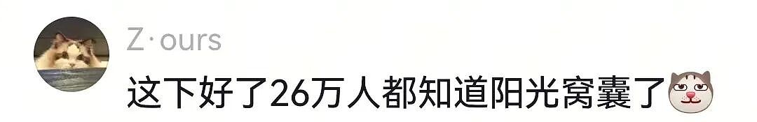 【宠物】一百斤的狗子被咪咪胖揍，委屈缩在爹怀里哭，爹小声蛐蛐，没想到狗子才是幕后高手（组图） - 9