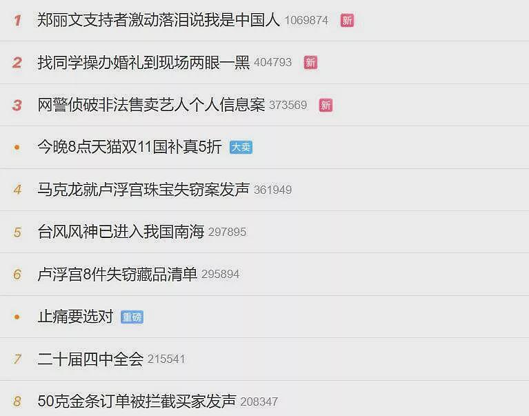 郑丽文支持者高喊“我是中国人“ 冲上微博热搜第一(组图) - 2